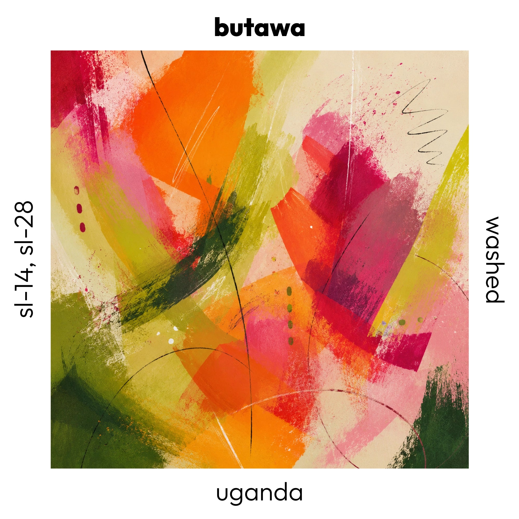 Butawa