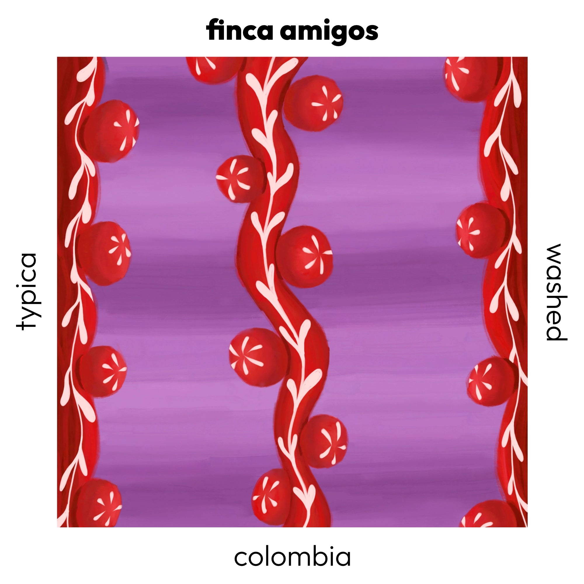 Finca Amigos