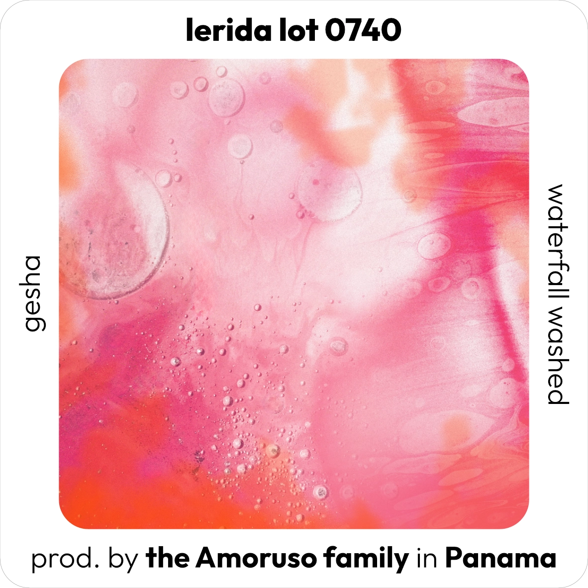 Lerida lot 0740